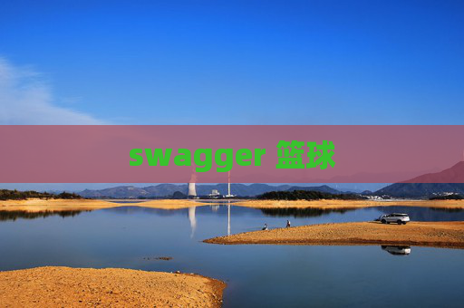 swagger 篮球 swagger 篮球